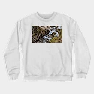 A little torent Crewneck Sweatshirt